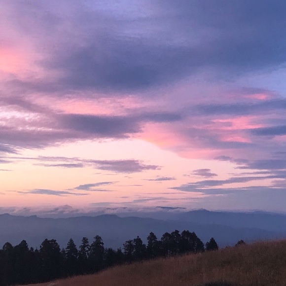 Meet your Posher, Hailey - Picture 1 of 1